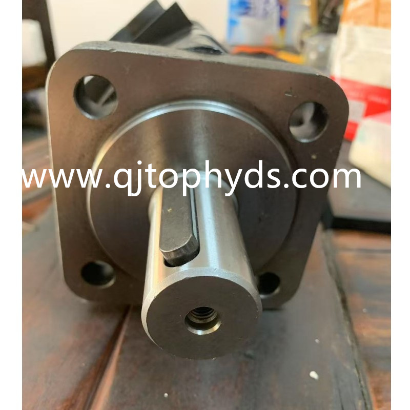 BM5-250 Hydraulic Motor BM5-80/100/125/160/200 Orbital Motor Aftermarket