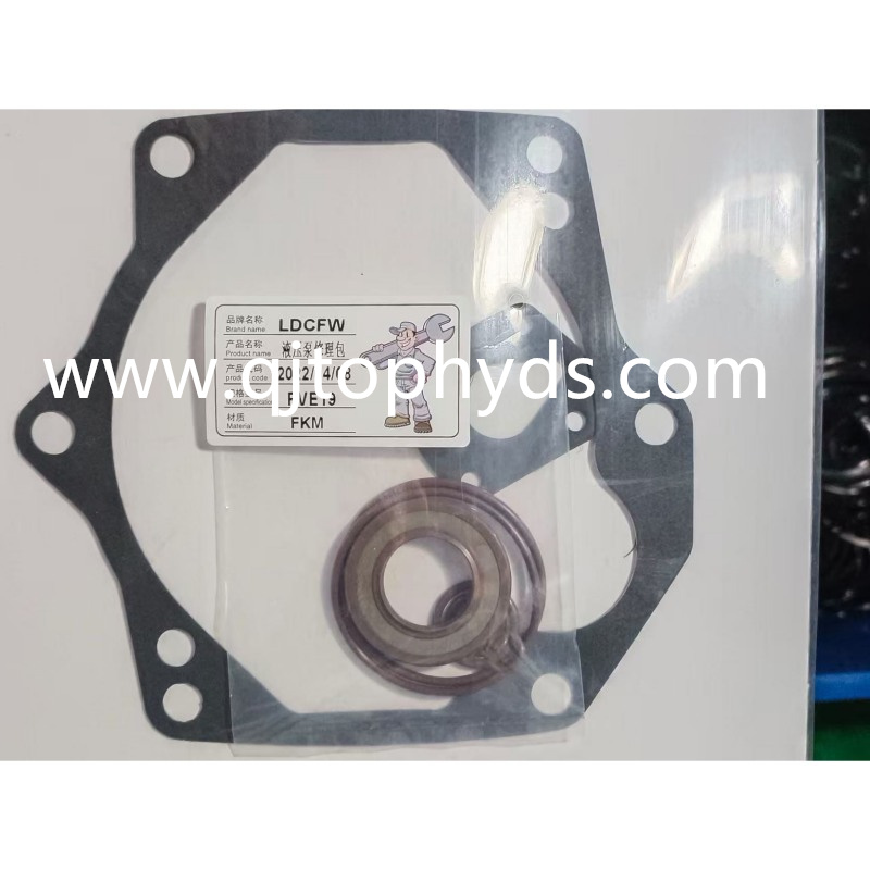 PVE19 Pump Seal kit Repair Kit for Vickers Hydraulic Pump Parts