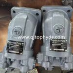 Rexroth Hydraulic Pump A2FO34/61L-VAB05 Replacement