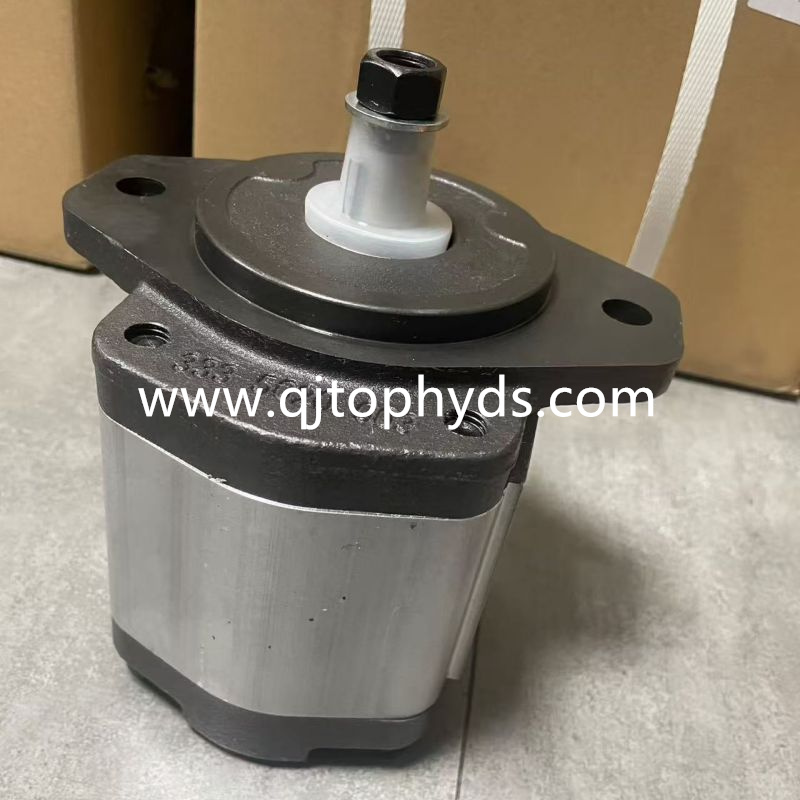 Parker Hydraulic Pump 3339111166 20K6031182 Gear Pump Replacement